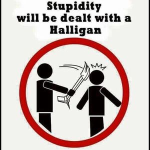 Meet your Posher, Matt